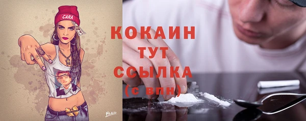 прущие грибы Липки