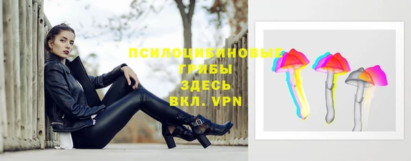 мдпв Кинешма