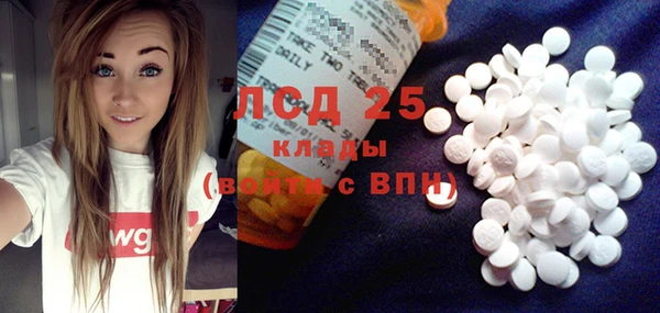 PSILOCYBIN Алзамай